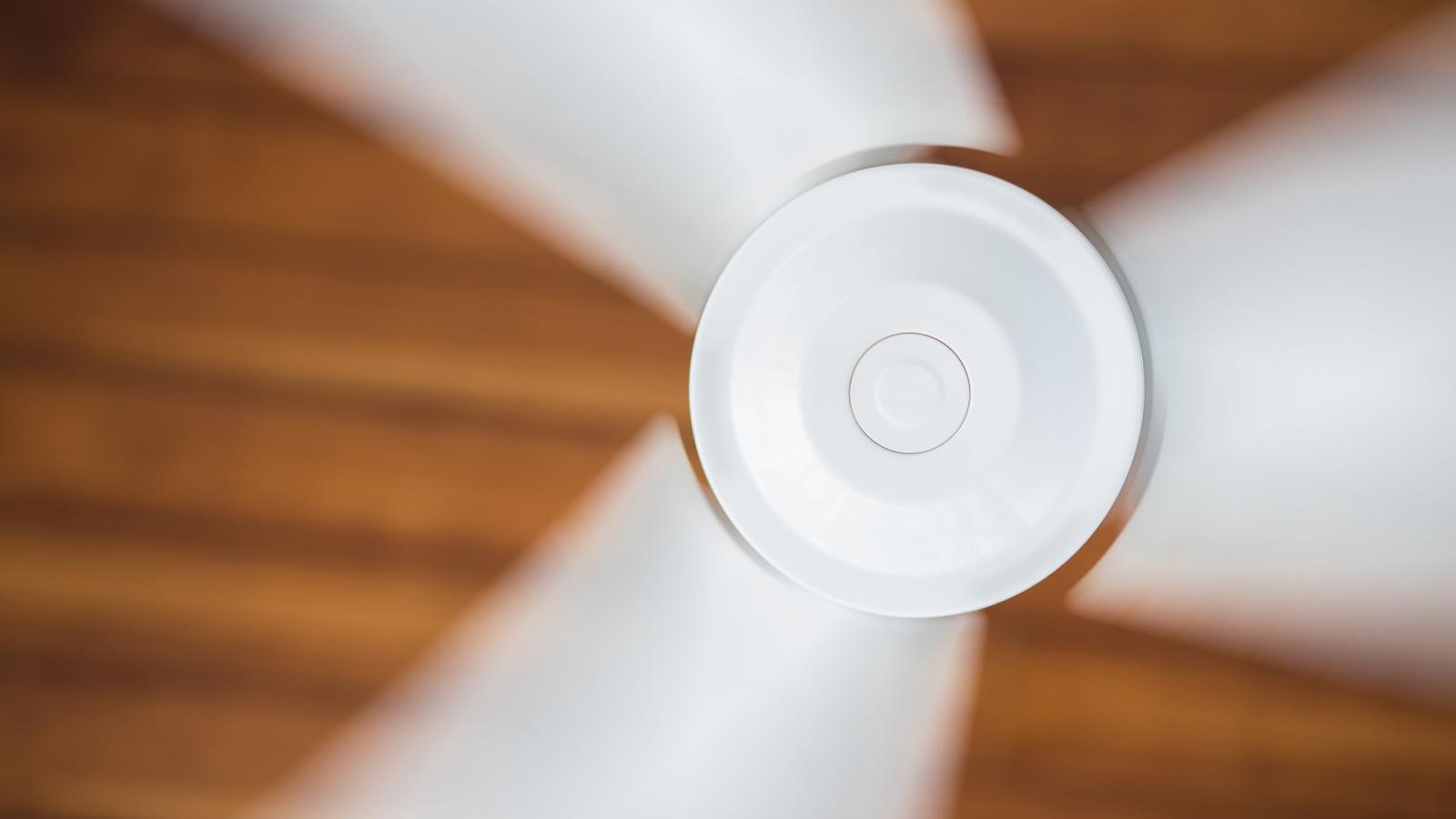 White fan spins quickly against a wood background.