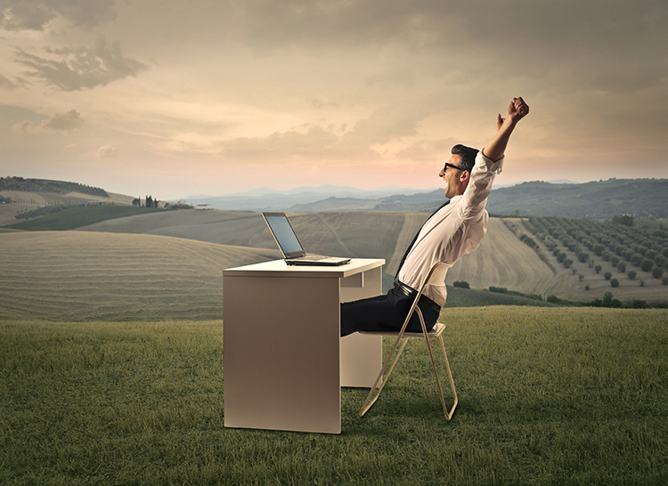 Businessman working in the countryside