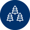 tc-icon-trees-planted-2-solid-blue-100.png